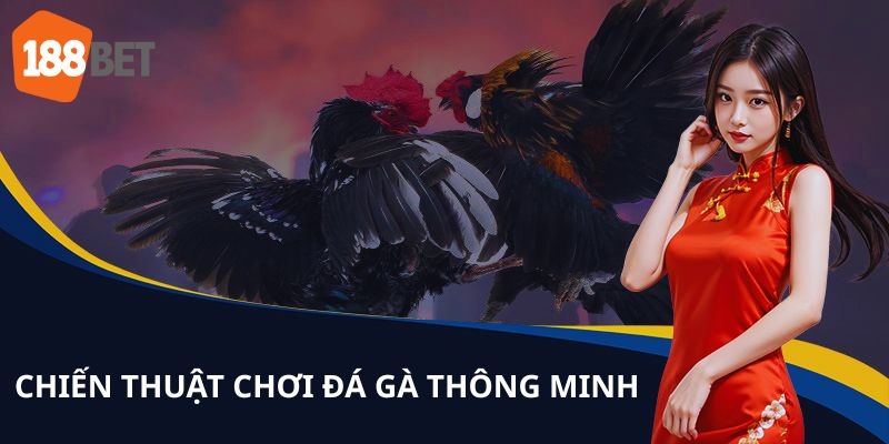 Hé lộ luật chơi đá gà online cơ bản dành cho tân binh